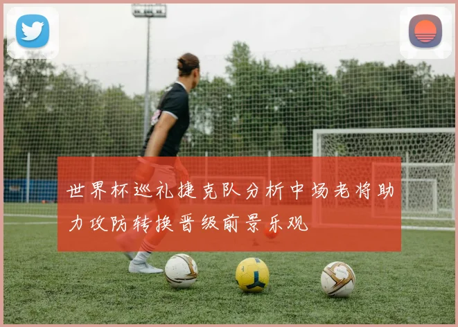 世界杯巡礼捷克队分析中场老将助力攻防转换晋级前景乐观