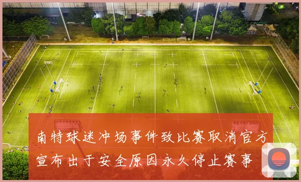 南特球迷冲场事件致比赛取消官方宣布出于安全原因永久停止赛事